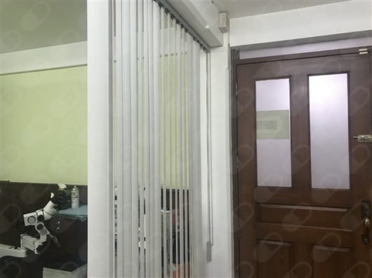 María Elena Lugo García-0