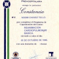 Ampliar imagen: certificate 24
