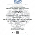 Ampliar imagen: certificate 5