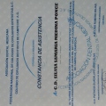 Ampliar imagen: certificate 26