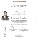 Ampliar imagen: certificate 9