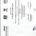 Ampliar imagen: certificate 2