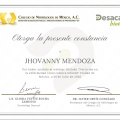 Ampliar imagen: certificate 5