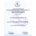Ampliar imagen: certificate 35