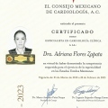 Ampliar imagen: certificate 1