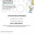 Ampliar imagen: certificate 9