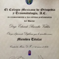 Ampliar imagen: certificate 12