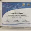 Ampliar imagen: certificate 4