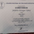 Ampliar imagen: certificate 5