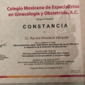 Ampliar imagen: certificate 11