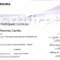 Ampliar imagen: certificate 6