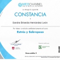 Ampliar imagen: certificate 7