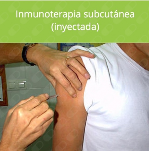 Karen Alicia Rodríguez Mireles-8