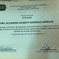 Ampliar imagen: certificate 27