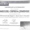 Ampliar imagen: certificate 4