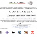 Ampliar imagen: certificate 5