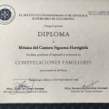 Ampliar imagen: certificate 11