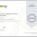 Ampliar imagen: certificate 4
