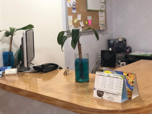 Norma Castillo García-3