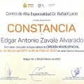 Ampliar imagen: certificate 7