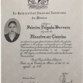 Ampliar imagen: certificate 2