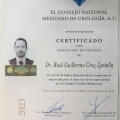 Ampliar imagen: certificate 5