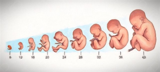 Erika Doroteo Ortiz-8