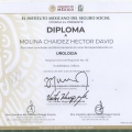 Ampliar imagen: certificate 4