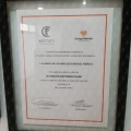 Ampliar imagen: certificate 6