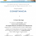 Ampliar imagen: certificate 5