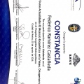 Ampliar imagen: certificate 12