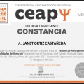 Ampliar imagen: certificate 20