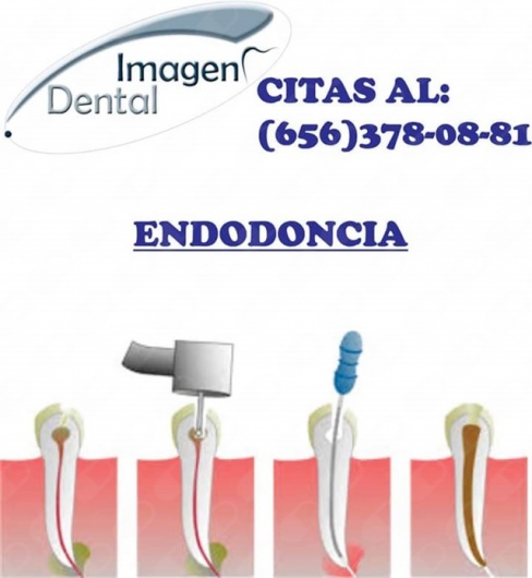 Leonel Palma Carlos-4