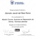 Ampliar imagen: certificate 8