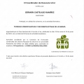 Ampliar imagen: certificate 3