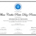 Ampliar imagen: certificate 7
