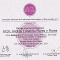 Ampliar imagen: certificate 7