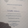 Ampliar imagen: certificate 11
