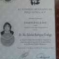 Ampliar imagen: certificate 3