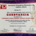 Ampliar imagen: certificate 64