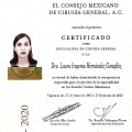 Ampliar imagen: certificate 1