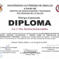 Ampliar imagen: certificate 4