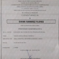 Ampliar imagen: certificate 9