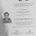 Ampliar imagen: certificate 4