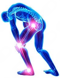 Gerardo Salazar Lopez-4