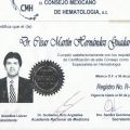 Ampliar imagen: certificate 17