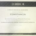 Ampliar imagen: certificate 7