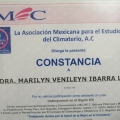 Ampliar imagen: certificate 8