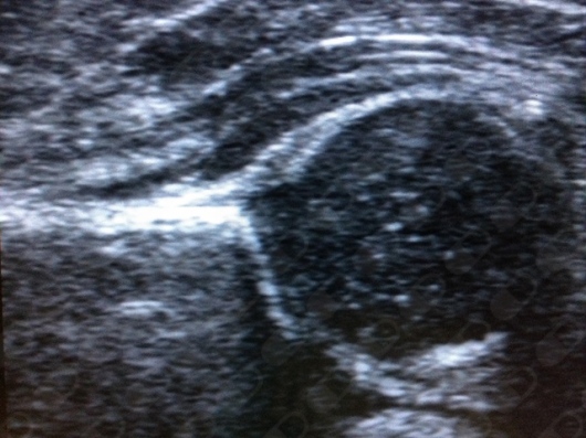 Luz Gabriela Villarreal Rivera-11