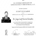 Ampliar imagen: certificate 1